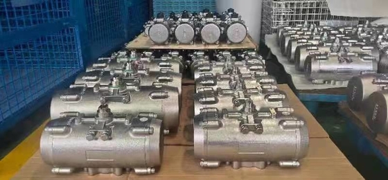 Doppelwirkende Steuerungsfunktion Offshore Quarter Turn Actuator Funktion