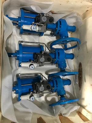 Lineare pneumatische Antriebsaktivator Automation der meisten Arten von Aufstieg Stammventil