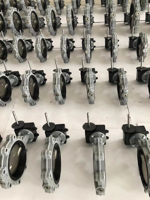 Lug-Typ 150lb Schmetterlingsventil mit Aluminiumbronze-Scheibe