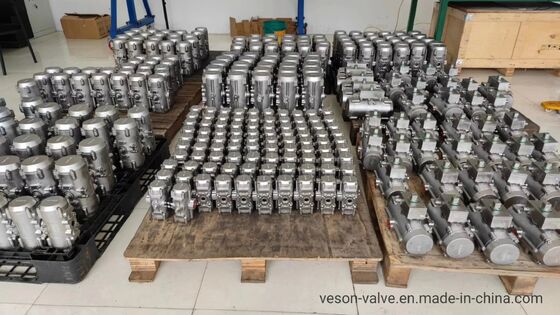 Korrosionsbeständiger pneumatischer Aktor aus Edelstahl mit Hartanodisiertem Aluminium-Rack