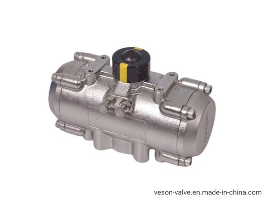 Korrosionsbeständiger pneumatischer Aktor aus Edelstahl mit Hartanodisiertem Aluminium-Rack